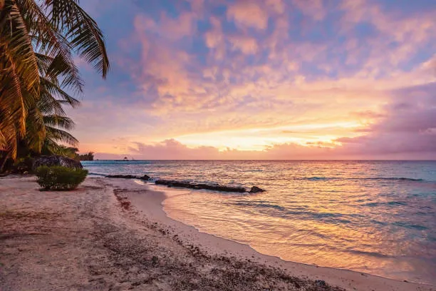 Vanua Levu Shark Dive & Waya Island