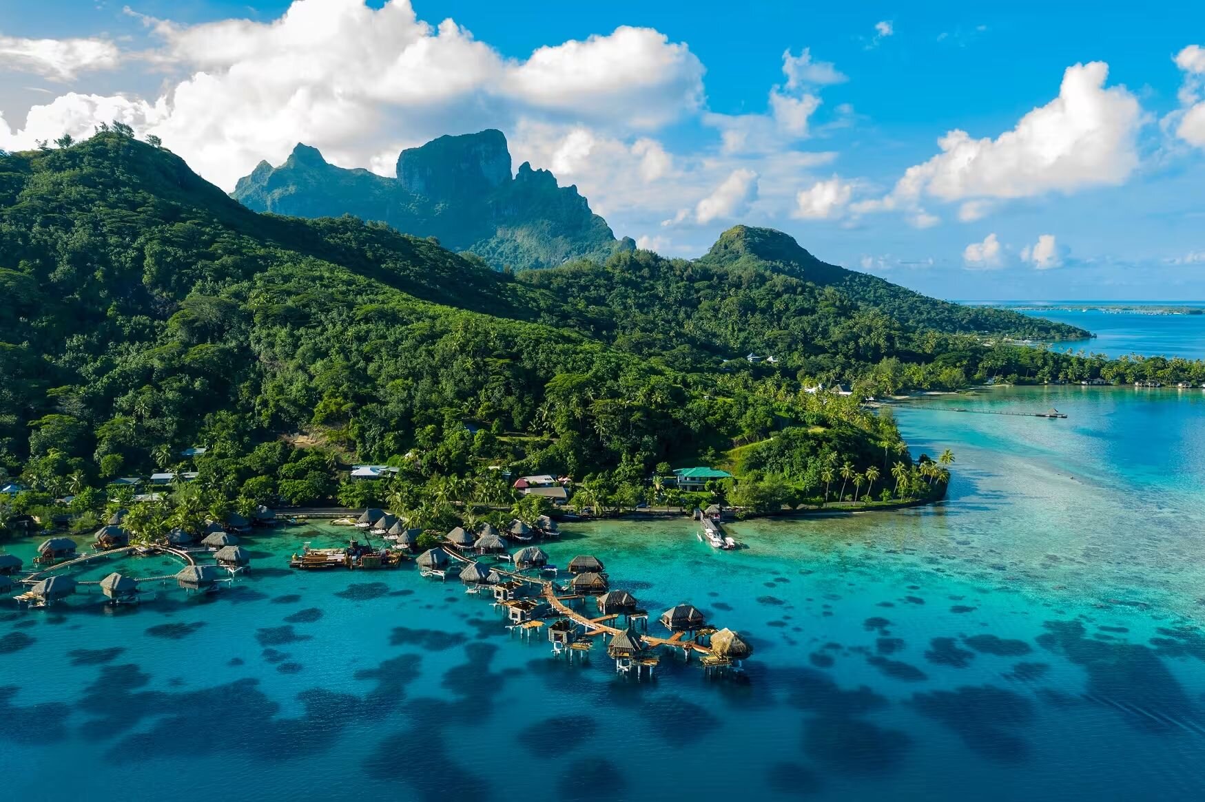 1 Week