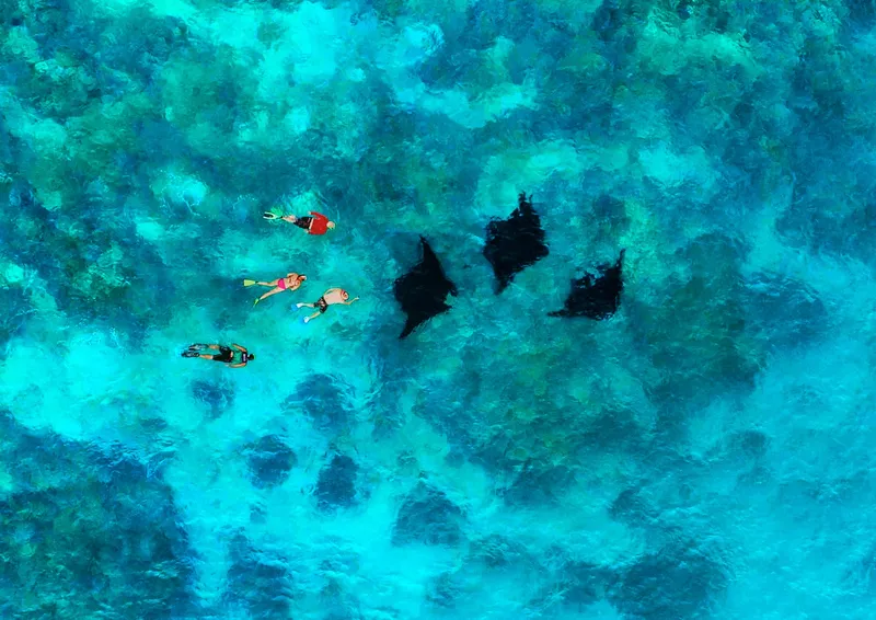 Drawaqa Passage & Manta Ray Snorkeling