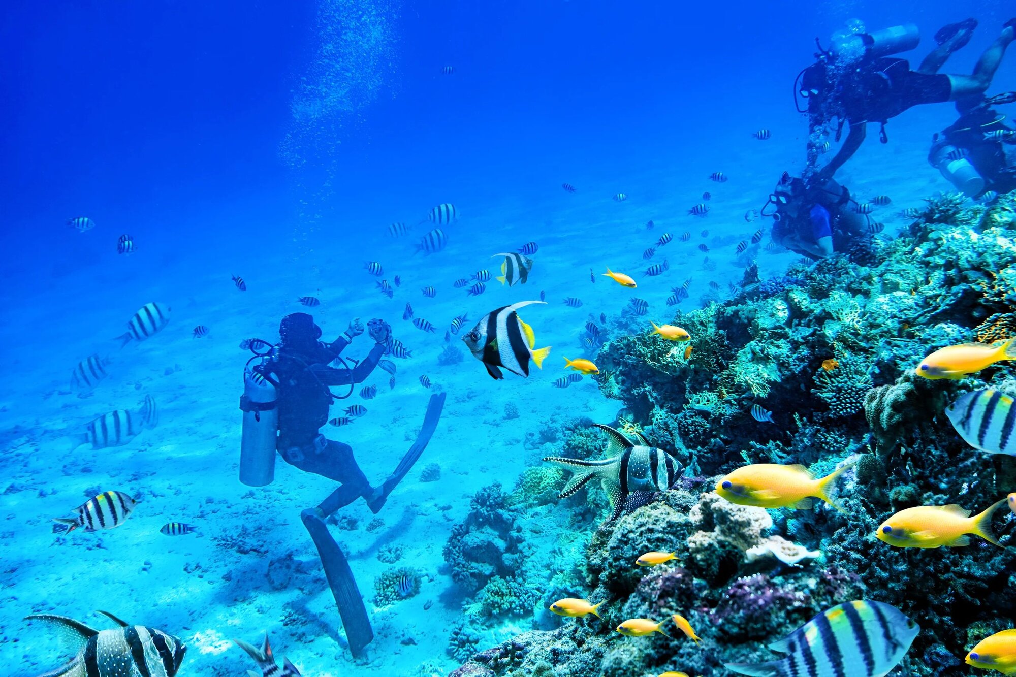 Fowl Cay
