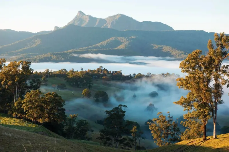 Tamborine Mountain