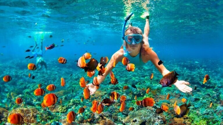Marine Diving & Snorkelling