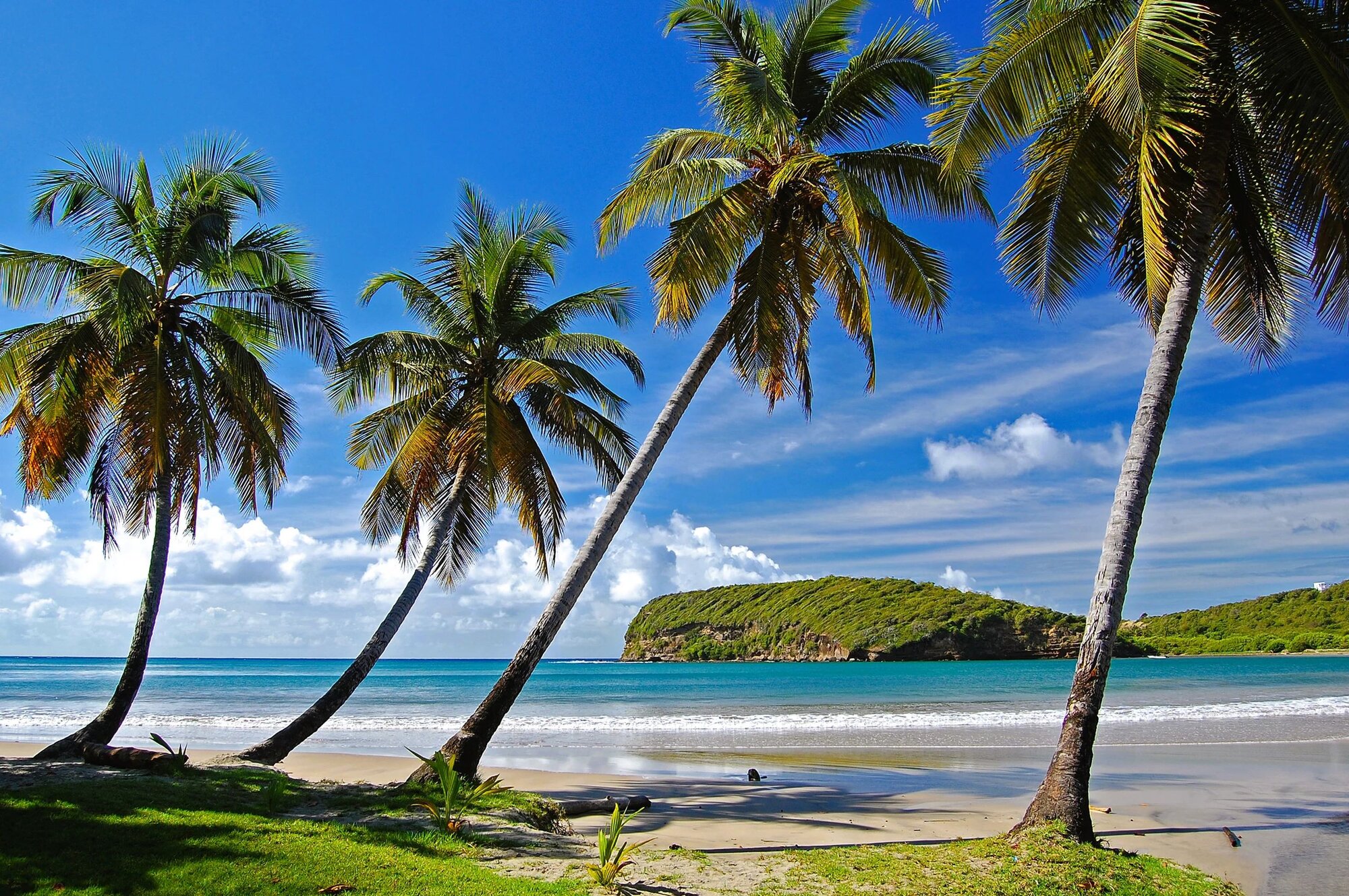 Windward Islands - 1