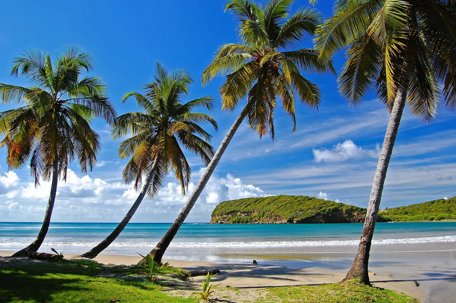 Windward Islands - 1