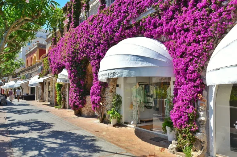 Shopping in Capri