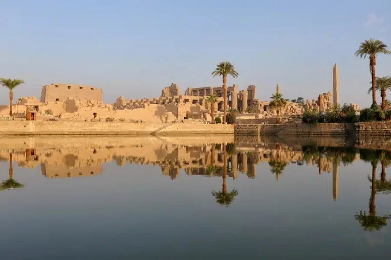 Red Sea Discovery: 7 Days of Reef & Desert - Image 5