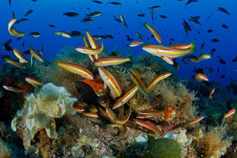 Sailing & Water Sports