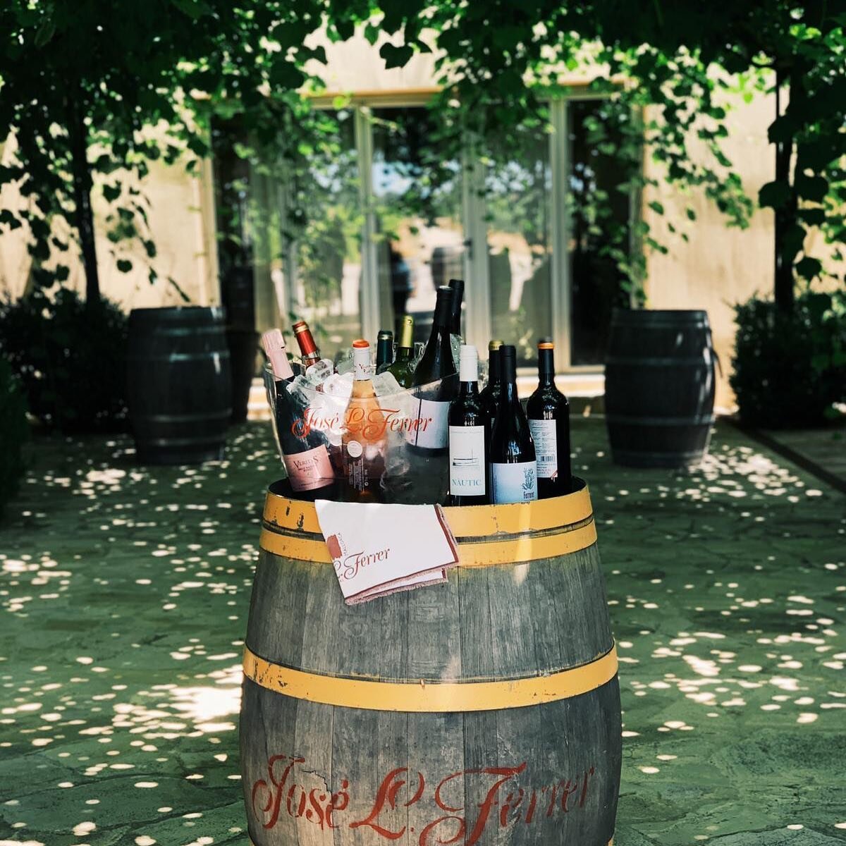 Wine Tasting at Can Axartell