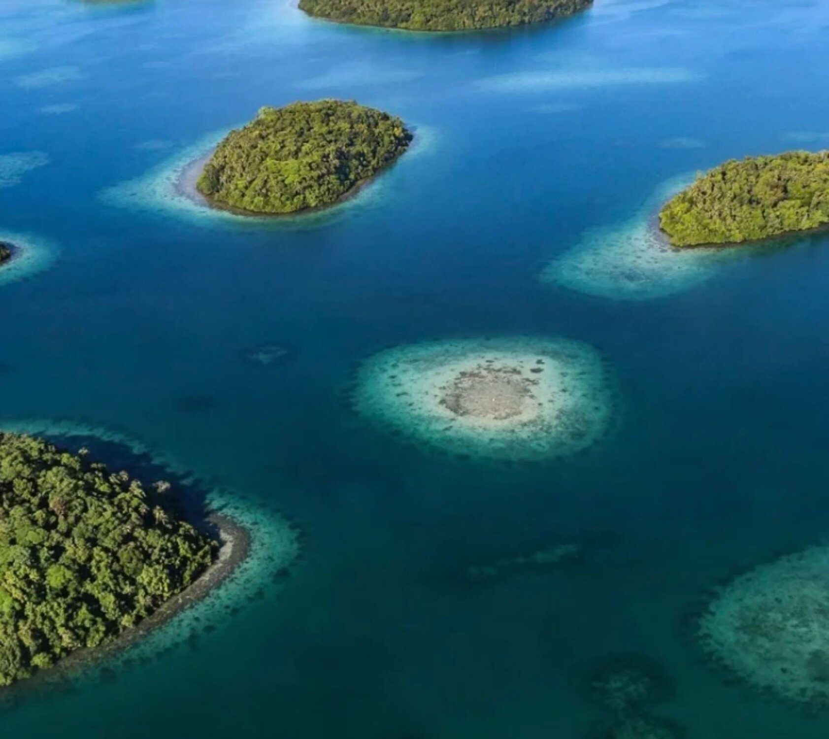 Solomon Islands Deep Immersion - 6
