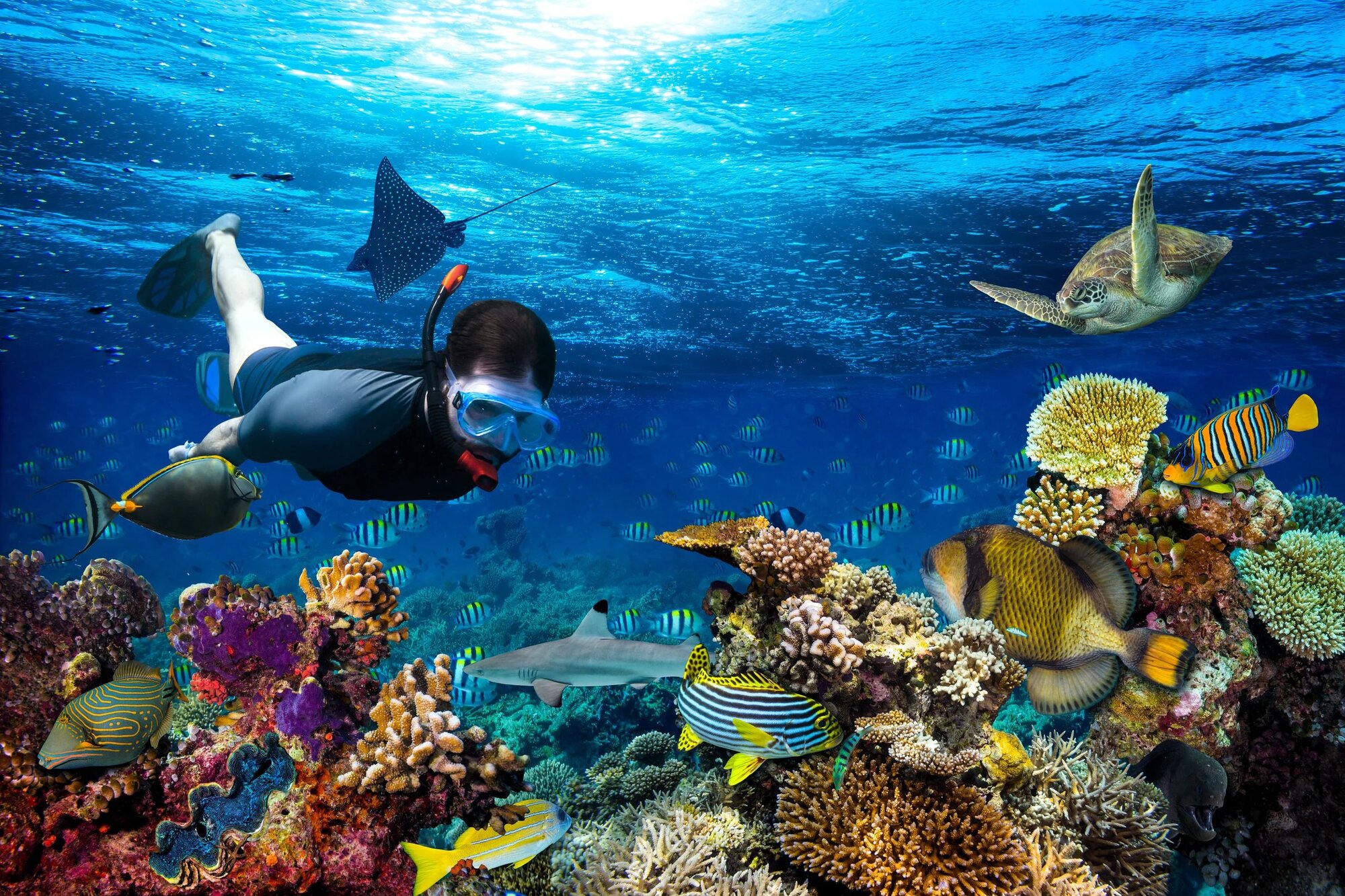 Water Sports & Marine Adventures
