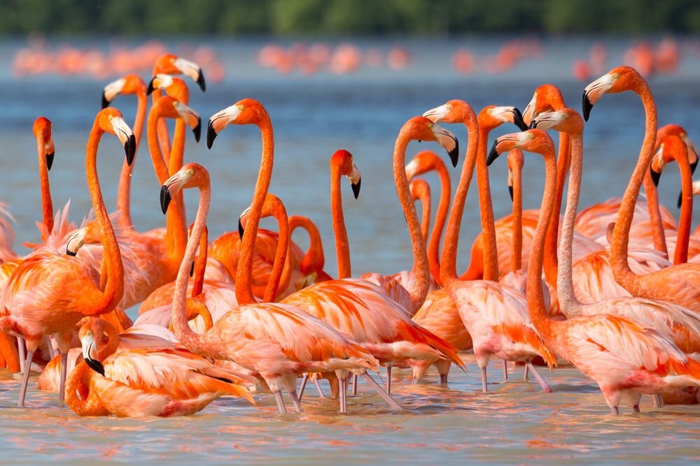 Natural Wonders & Nature Exploration