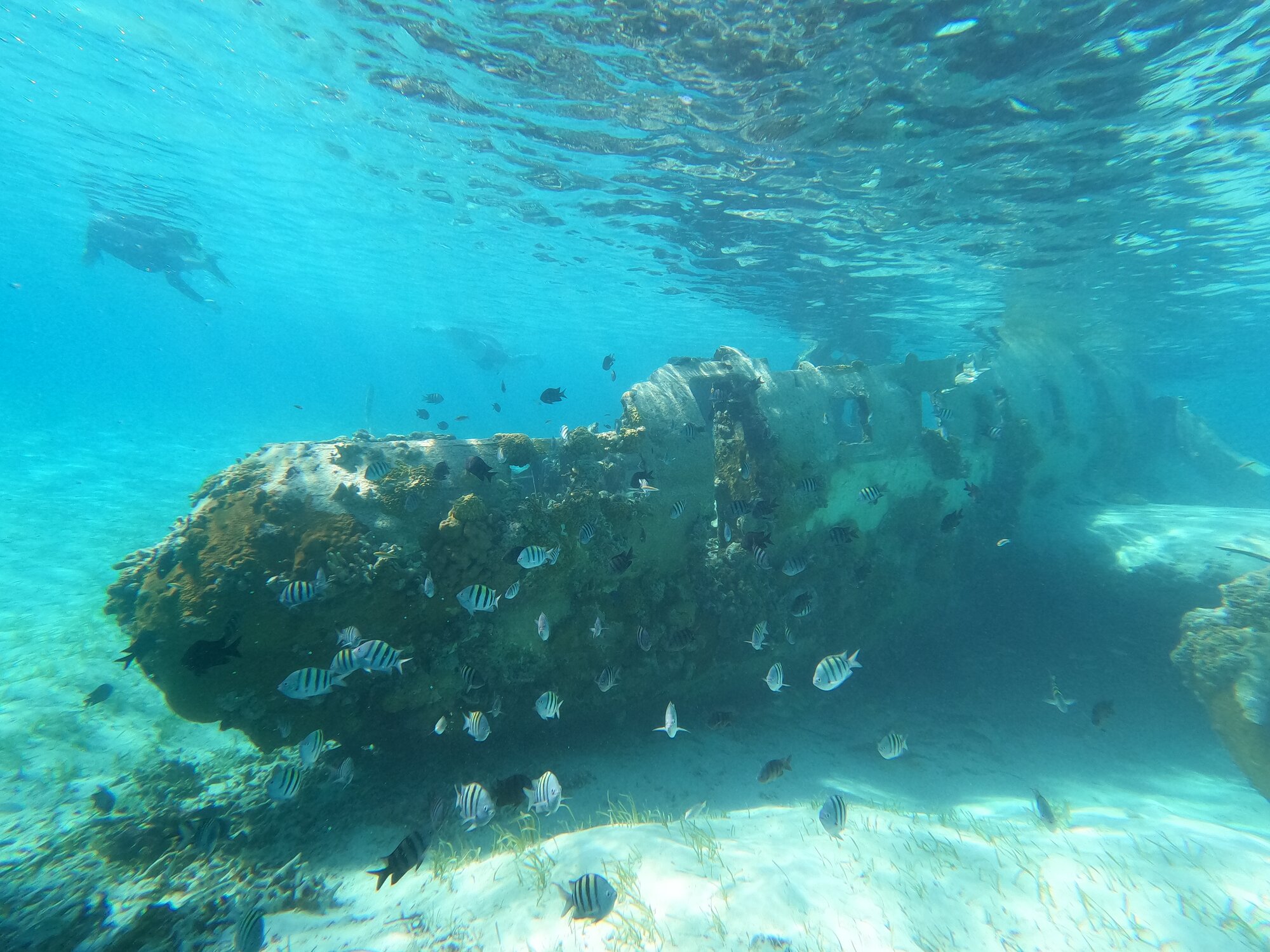 Exuma Cays charter photograph 4