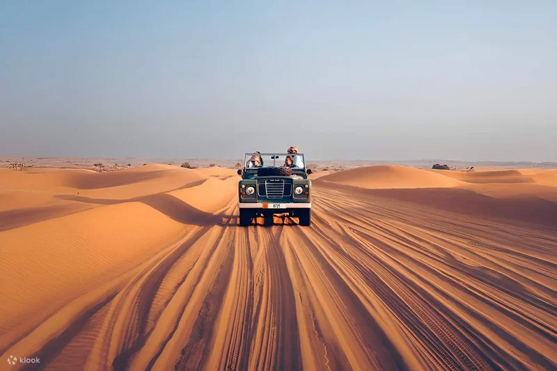 Desert Safari Adventure - Day 8