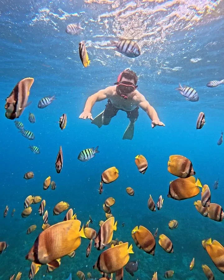Selimiye & Scuba Paradise