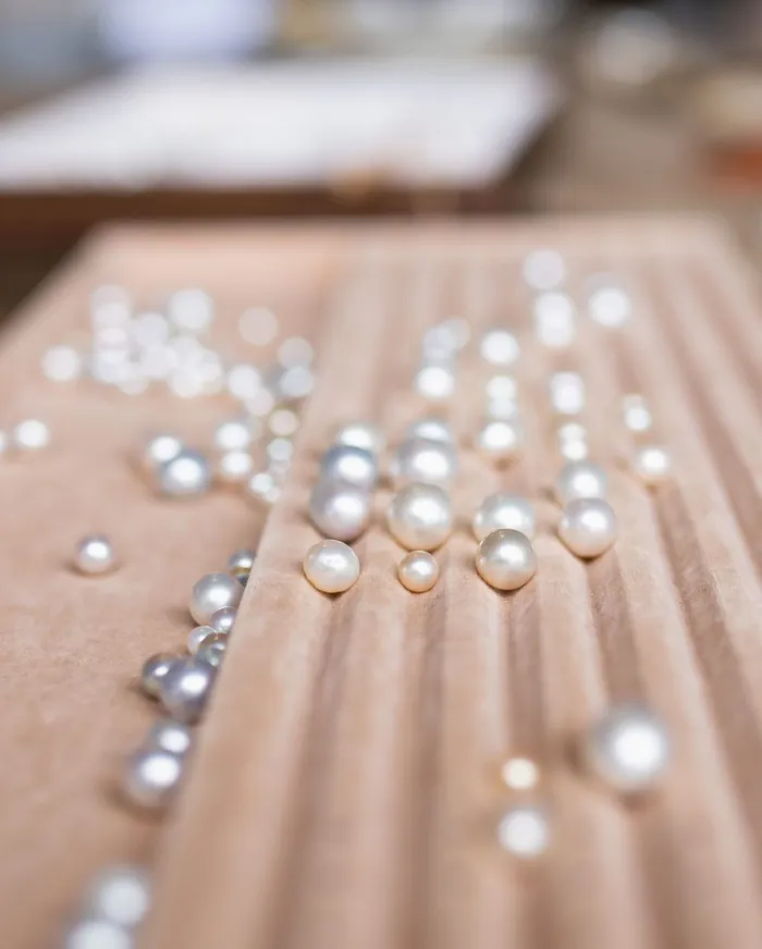 Pearl Farm & Cultural Visit
