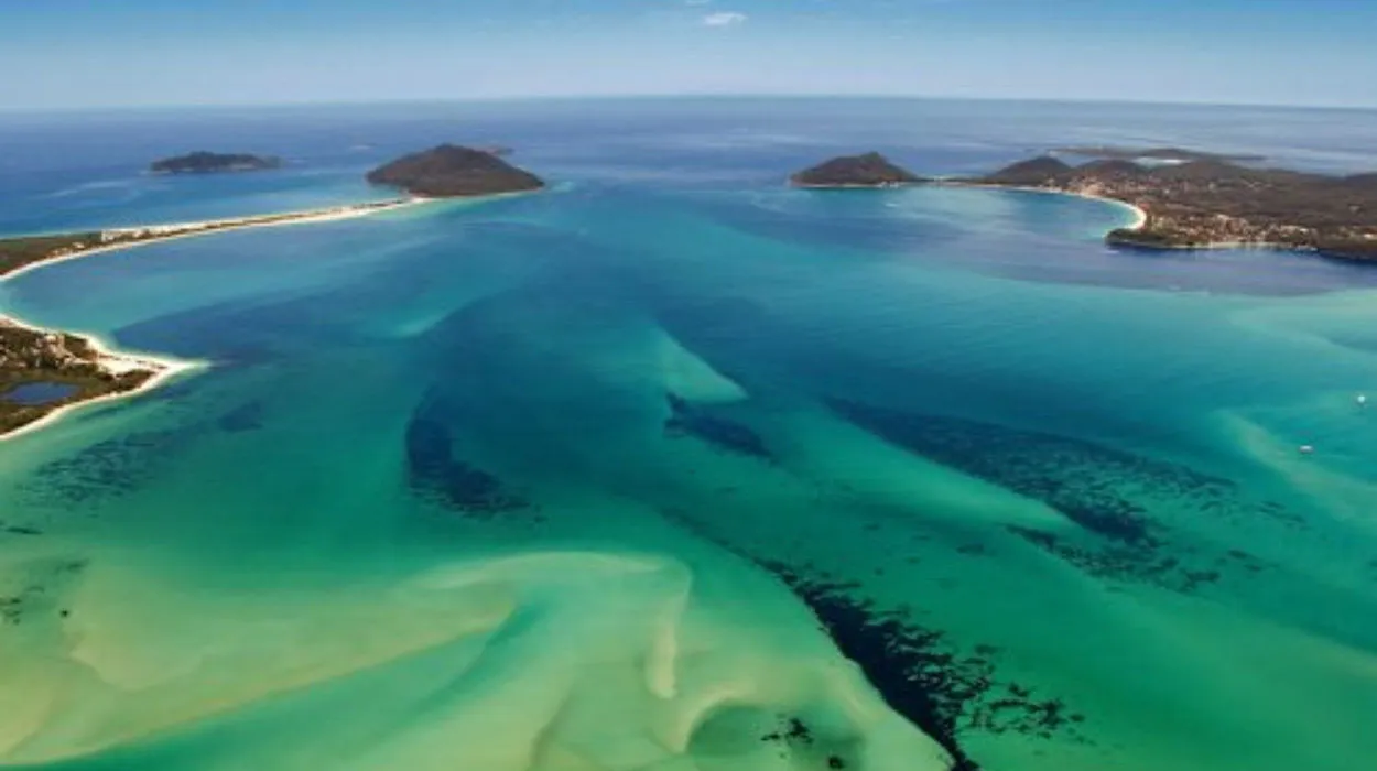 Port Stephens beaches and dolphins