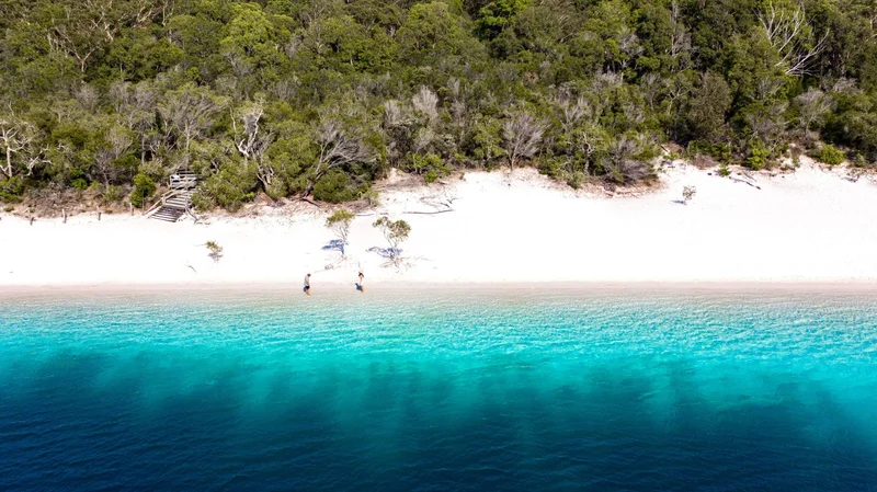 K'gari (Fraser Island) Discovery
