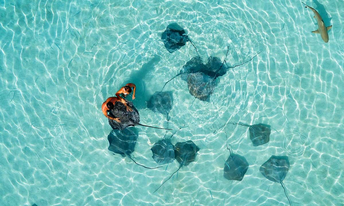 Lagoon Snorkelling Tour (Mo'orea)