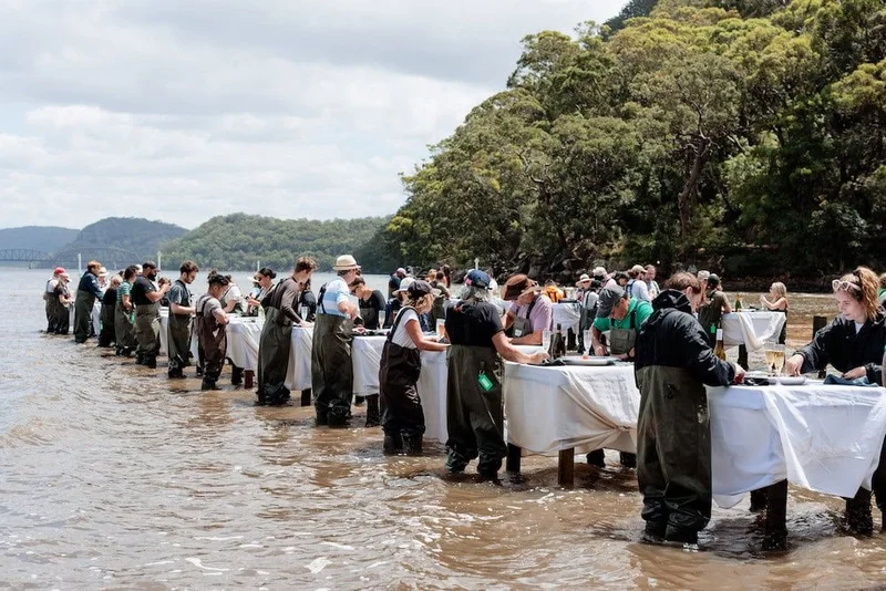 Pittwater Adventure & Oyster Experience