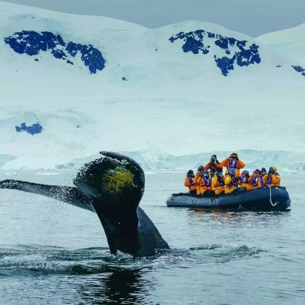 Calm Water Zodiac Cruises