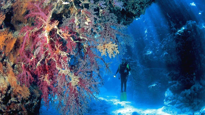 Dubai: the essentials - Image 4