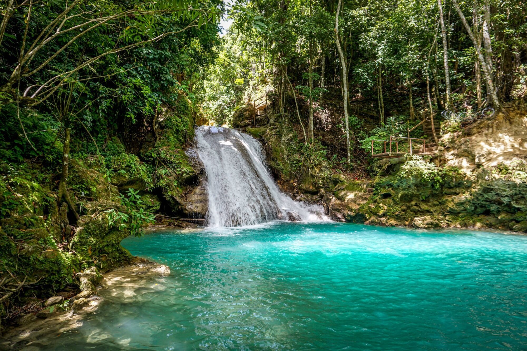 Rainforest & Natural Wonders