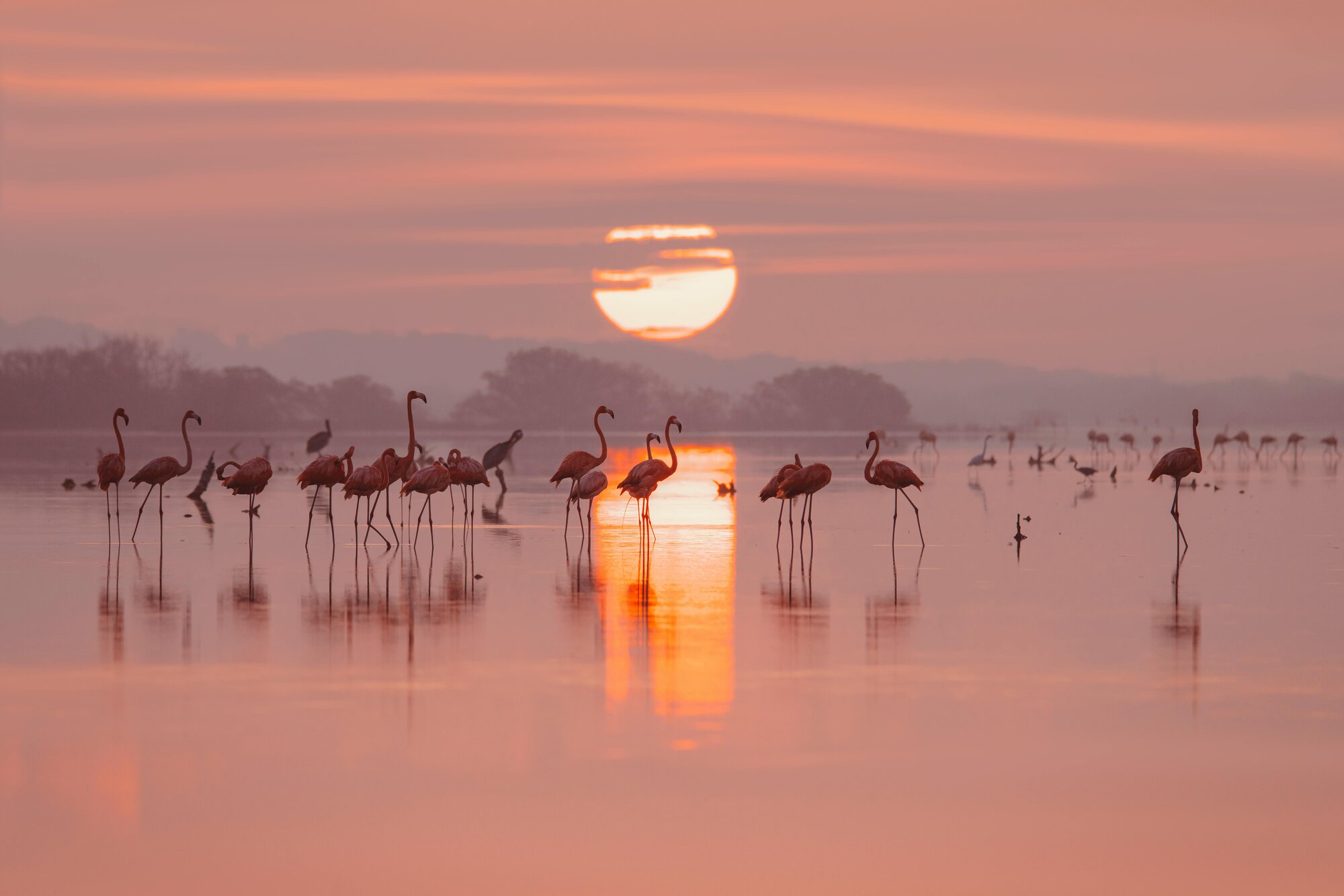 S'Albufera des Grau Sunset