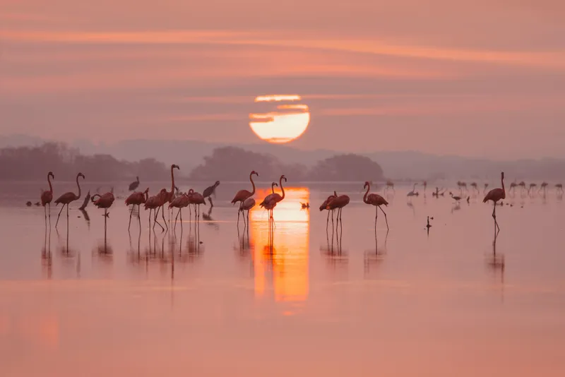 S'Albufera des Grau Sunset