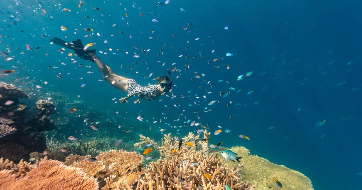 Explore the essential Whitsundays - 5