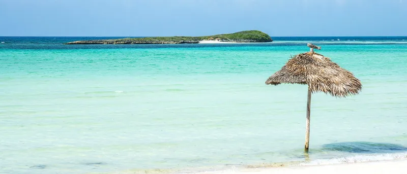 The Abacos