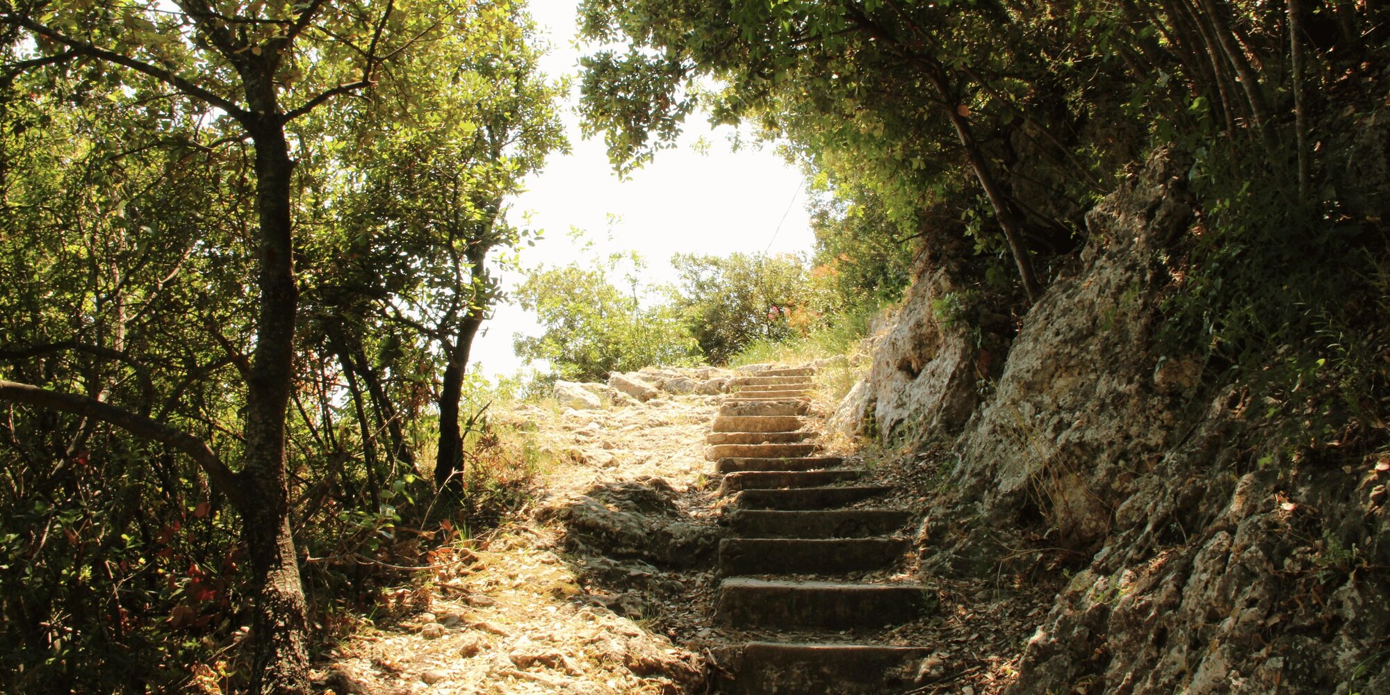 Nietzsche's Path