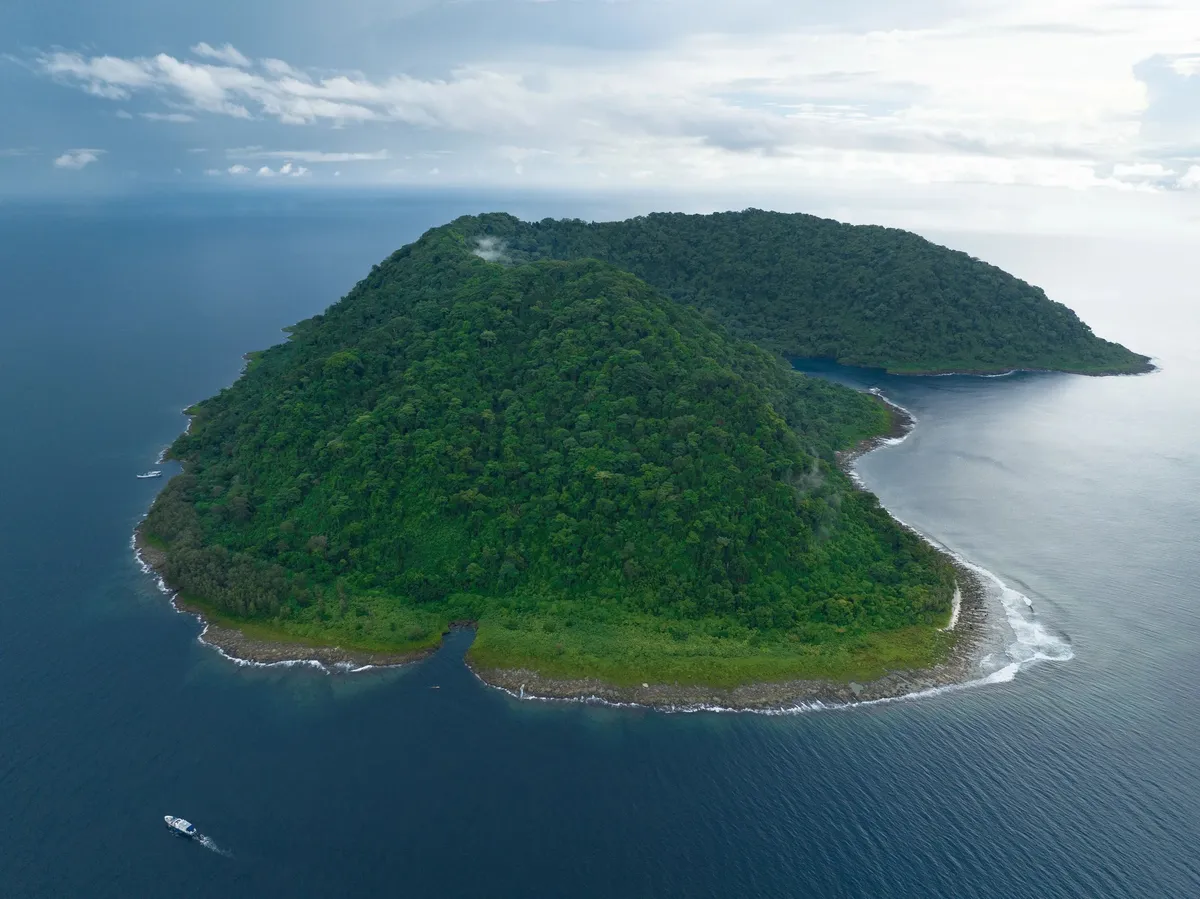 Day 7, Mborokua (Mary Island) | Advanced Diving