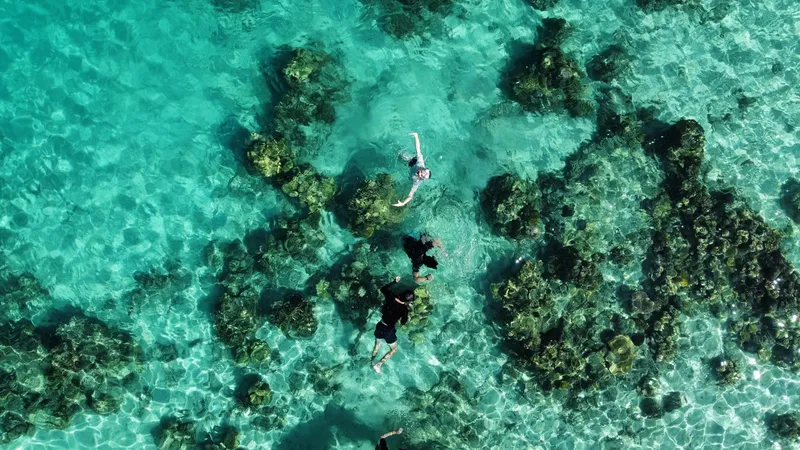 Blue Lagoon Extended Exploration