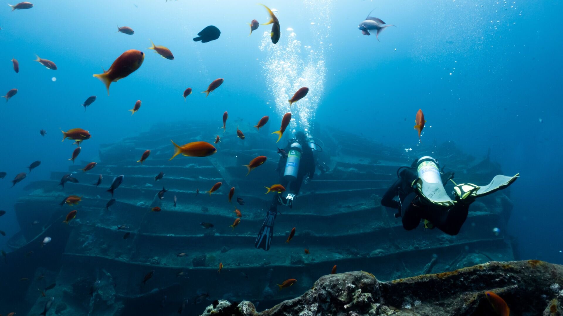 Historic Wreck Diving & Dahab Sites - Day 8