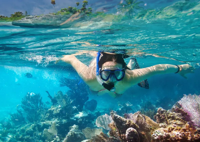 Snorkel Little Bay