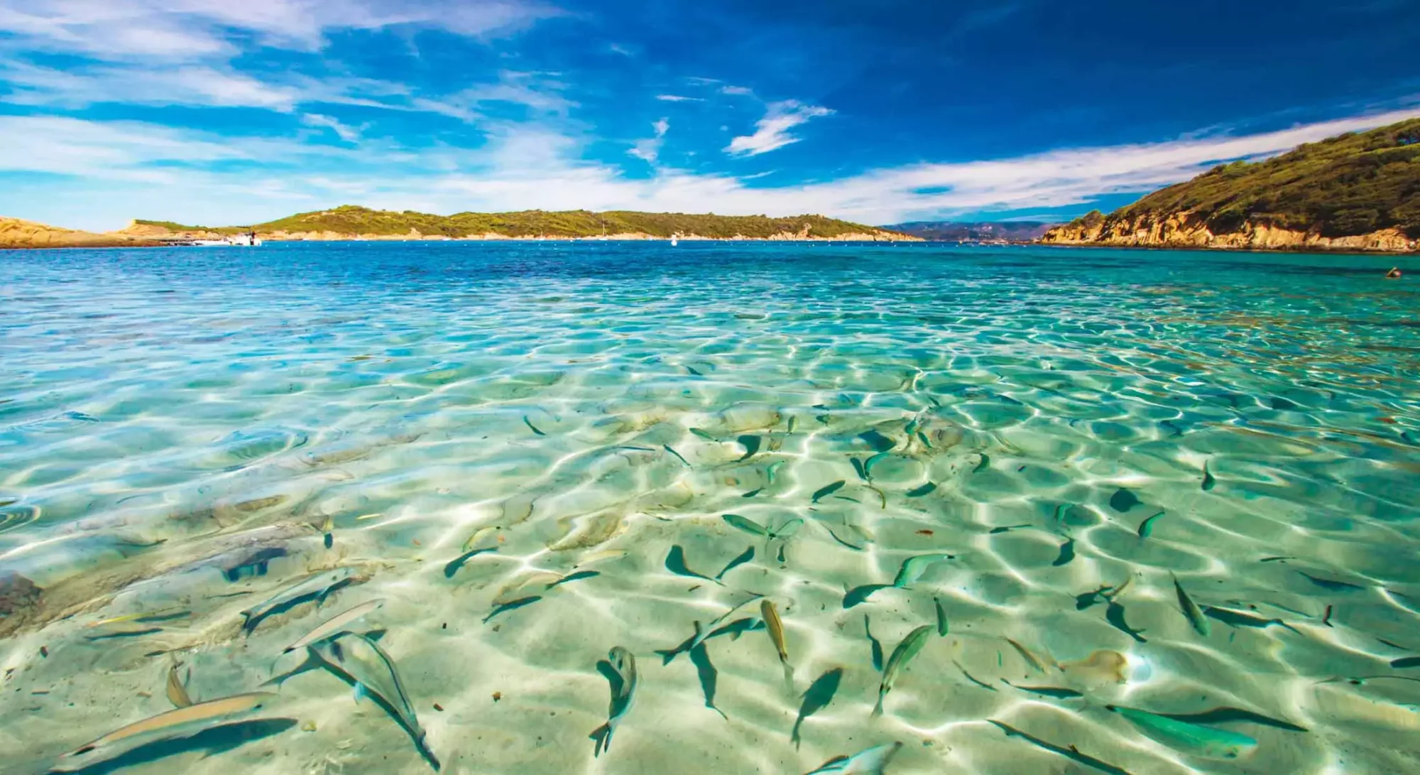 Protected Marine Reserves