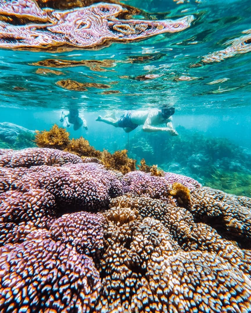 Beach Day at The Basin