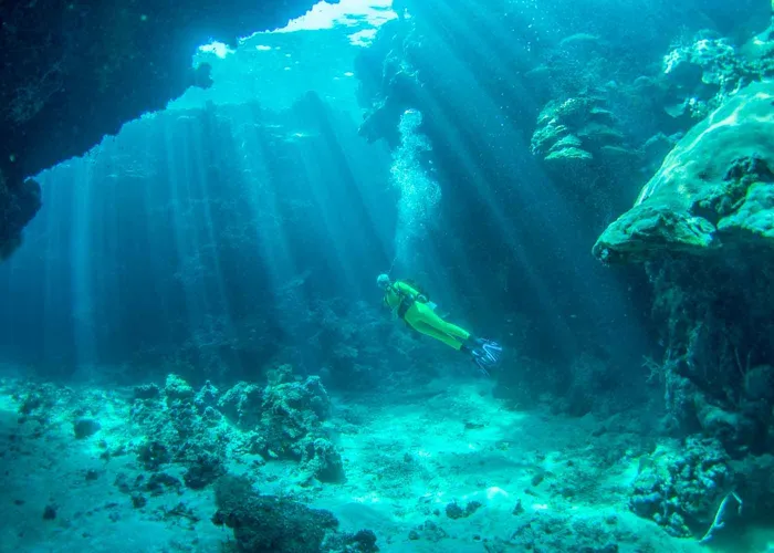 Marovo Lagoon Immersion