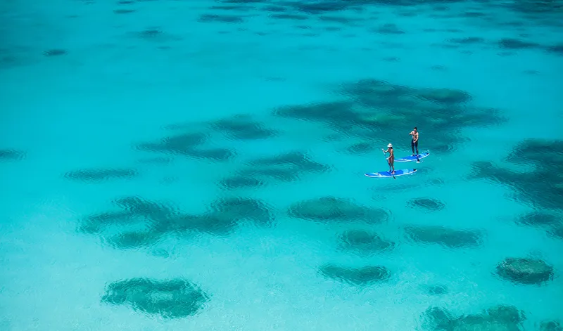 Paddleboard & Kayak Adventure