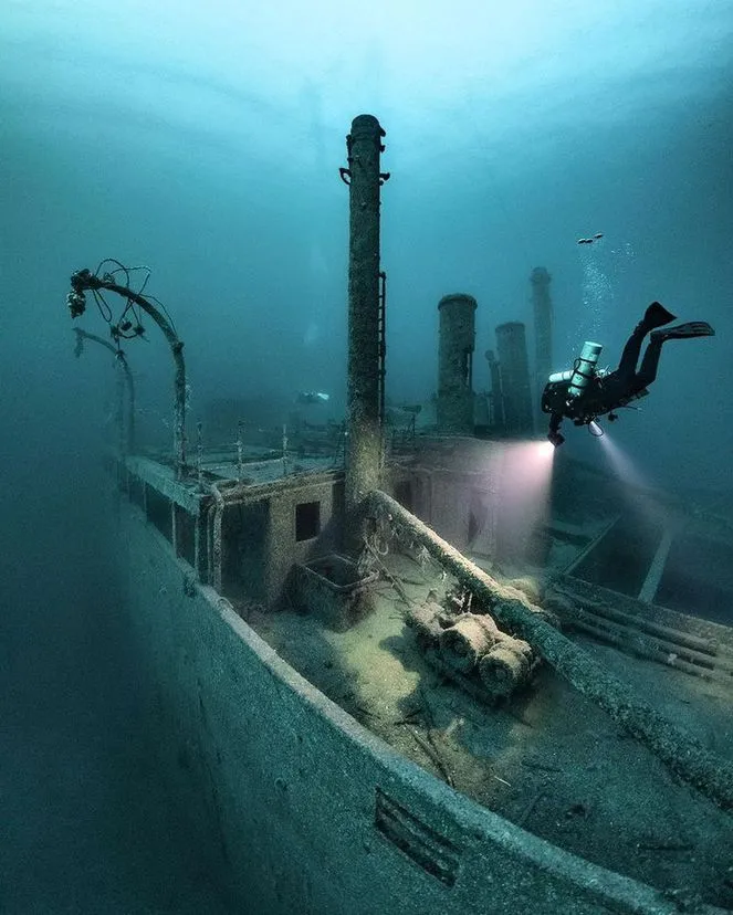 Diving & Freediving Adventures