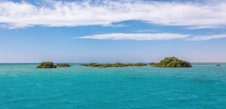 Al Wajh Lagoon