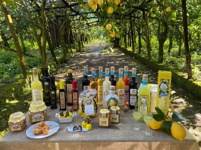 Limoncello Workshops