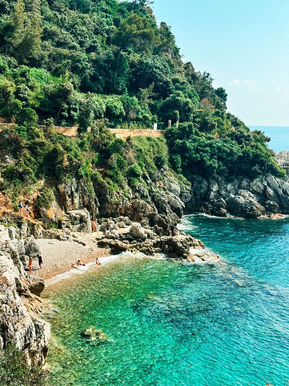 Hidden Cove Tenders