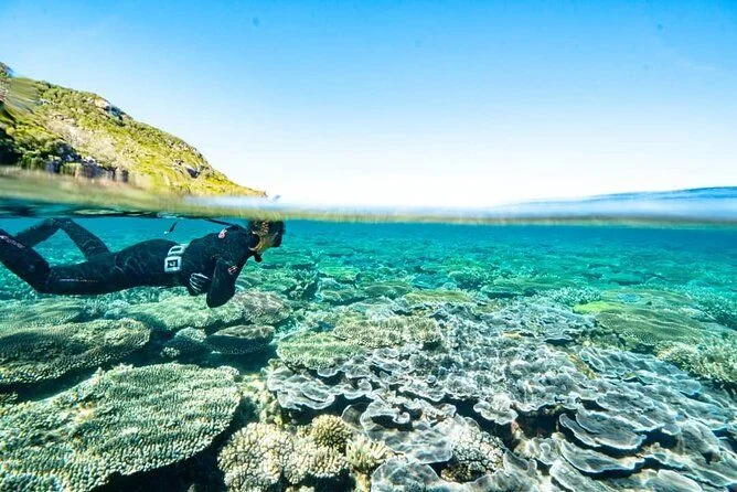 Great Keppel Island Relaxation