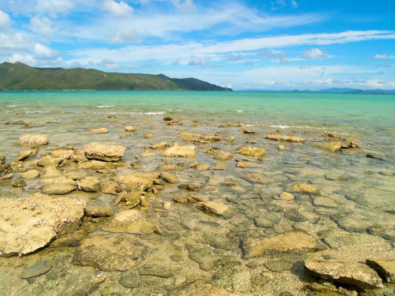Pittwater Exploration & Cottage Point