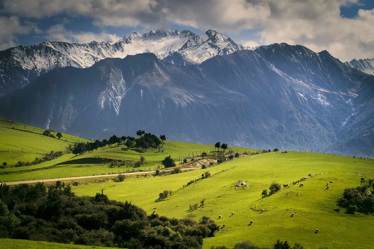Northern New Zealand - 5