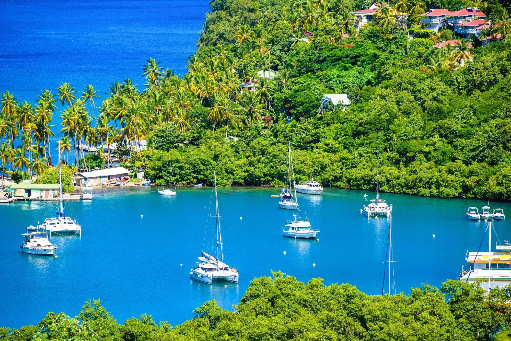 Martinique to St Lucia