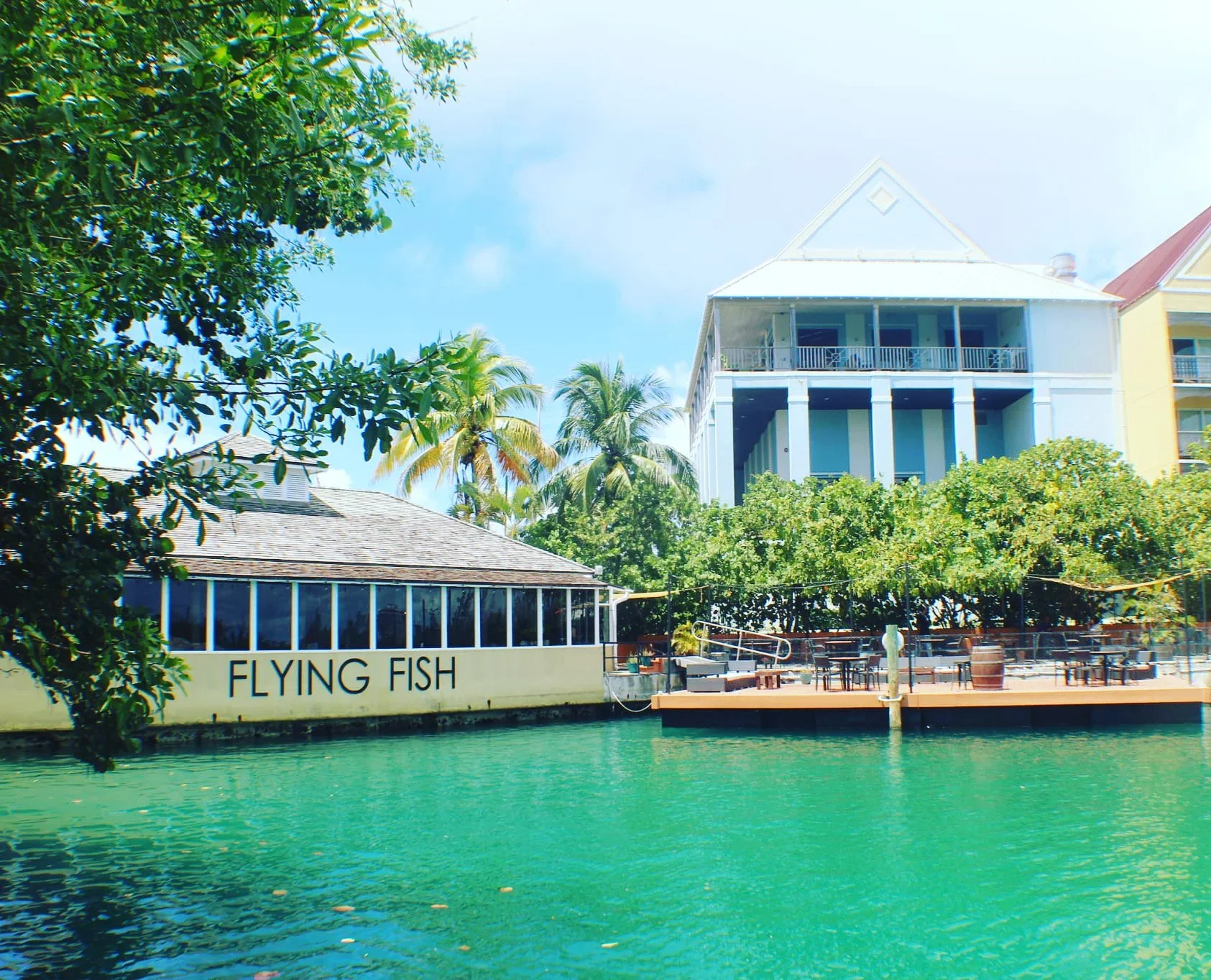 Flying Fish GastroBar