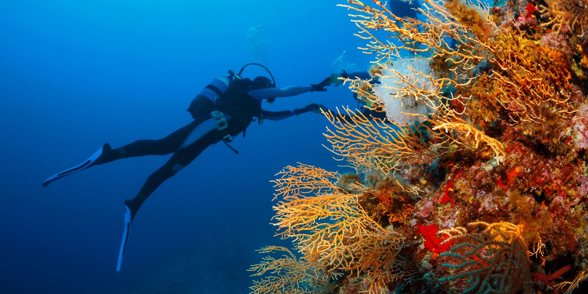 Scuba Diving & Underwater Exploration