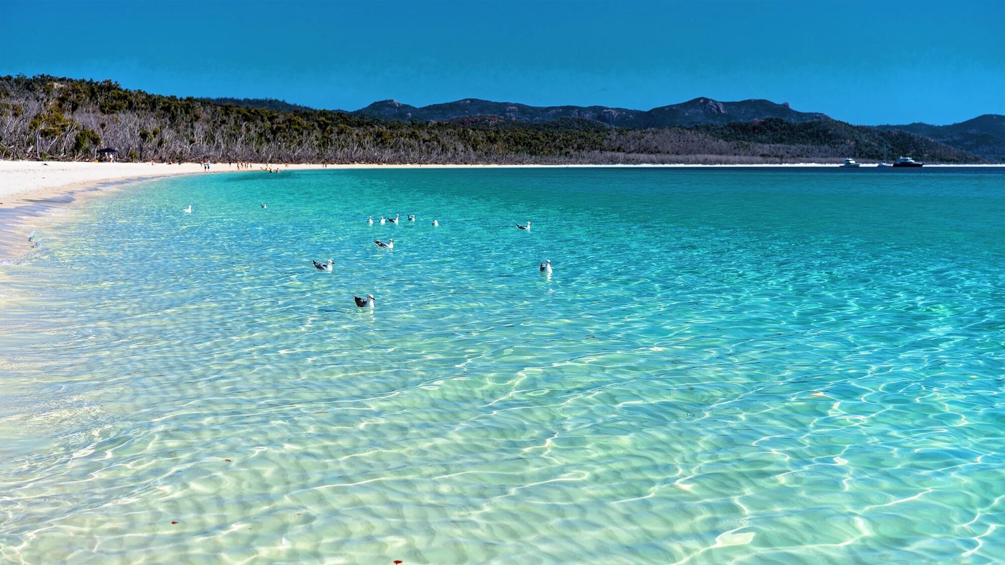 Silica Beach Discovery - 1